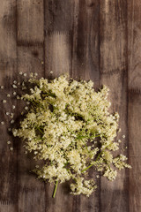 Elder or Elderberry flowers