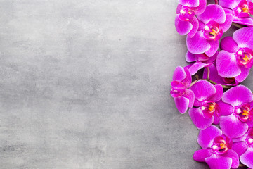 Fototapeta premium Beauty orchid on a gray background. Spa scene.