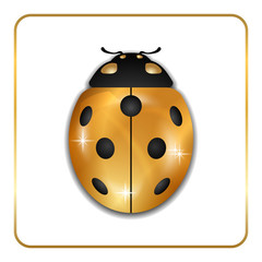 Ladybug gold insect small icon. Golden metal lady bug animal sign, isolated on white background. 3d volume bright design. Cute shiny jewelry ladybird. Lady bird closeup beetle. Vector illustration