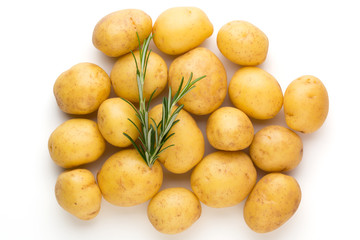 New potato and rosemarin isolated on white background close up.