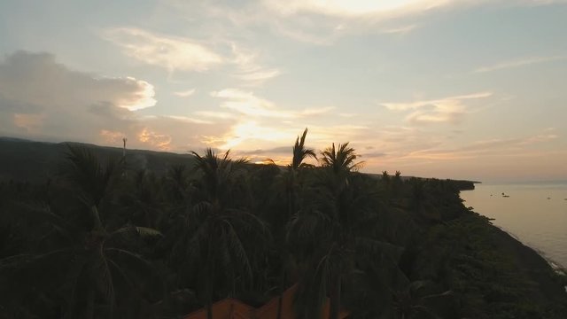 Sunset, silhouette of palm trees. Aerial view of sunset on the ocean coast, mountains, sea, beach, sky, clouds Bali, Indonesia Aerial footage