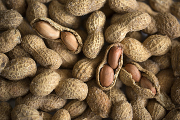 Salted and shelled peanuts or groundnut