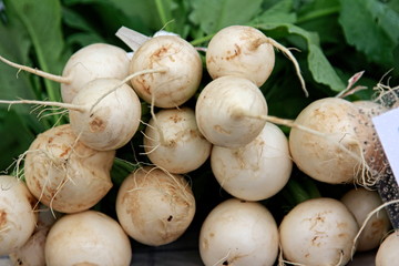 food, vegetable, onion, fresh, white, mushroom, healthy, ingredient, vegetables, organic, onions, mushrooms, raw, vegetarian, market, diet, potato, cooking, agriculture, isolated, natural, fungus, nut