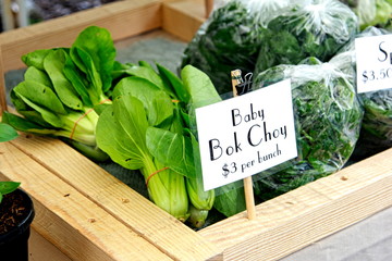 green, fresh, plant, vegetable, garden, food, sign, market, herb, leaf, nature, healthy, vegetables, white, lettuce, isolated, basil, card, wood, flower, salad, text, organic, paper, herbs