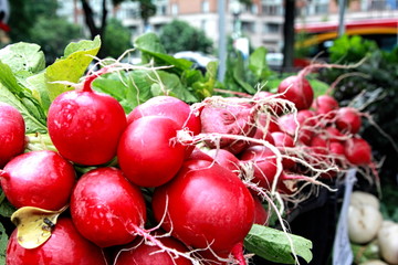 radish, food, red, fresh, vegetable, healthy, fruit, green, organic, bunch, radishes, vegetables, diet, ripe, market, nature, garden, root, raw, berry, plant, leaf, natural, agriculture, vegetarian