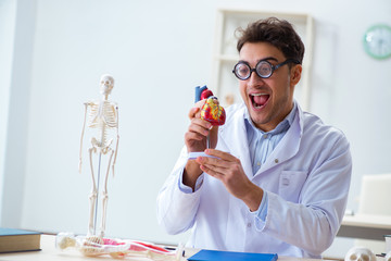 Crazy doctor with heart model