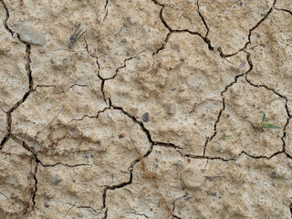 Cracked earth