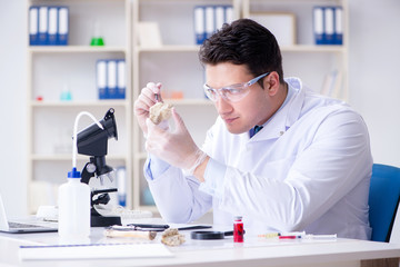 Paleontologist looking at extinct animal bone