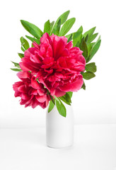 Peony flower in white vase