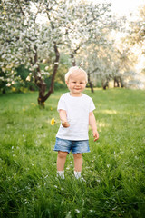 Small child walks in the park on the grass and tears the flowers and laughs