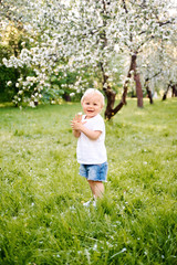 Small child walks in the park on the grass and tears the flowers and laughs
