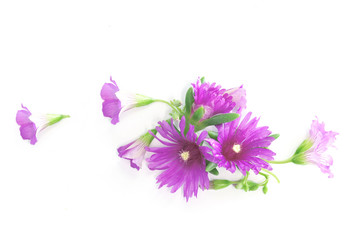 pink floral design element