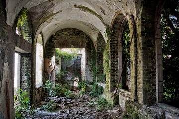 Ruined abandoned overgrown interior of abandoned mansion, Abkhazia, Georgia