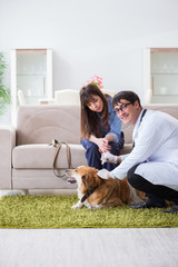 Vet doctor visiting golden retriever dog at home