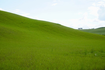 Crete Senesi near Asciano, Siena, Tuscan Italy, Magnificent landscape of the Tuscan countryside 