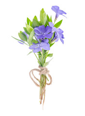 Small bouquet of flowers with blue petals