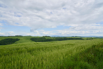 Fototapeta premium Crete Senesi near Asciano, Siena, Tuscan Italy, Magnificent landscape of the Tuscan countryside 