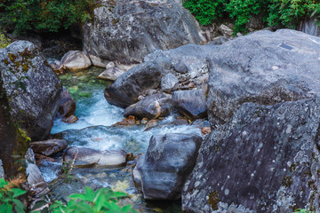 Fototapeta premium Nature of the Himalayas