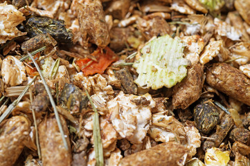  natural sportive  basic muesli  background. for horse.macro