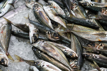 Fresh fish photographed on a fish market in Portugal
