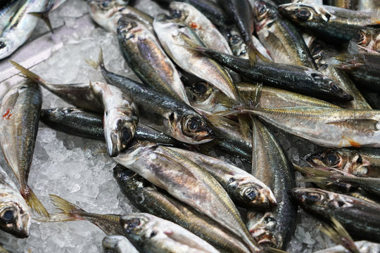 Fresh fish photographed on a fish market in Portugal
