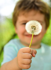 Cute child shows a dandelion flower, spring and beautiful nature. Childhood in nature. Summer joy. Beautiful background. Child has summer joy with dandelion. Child's hand with a flower, cheerful mood