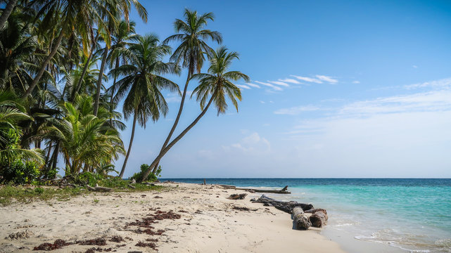 A beautiful beach with green palm trees on a tropical caribbean island in the paradisiacal San Blas Islands, Panama.