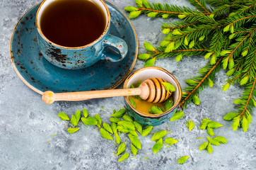 Honey, jam from green spruce shoots