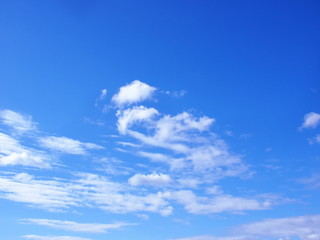 初夏　青空　雲