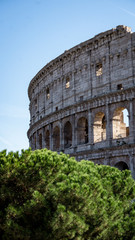 Obraz premium Outside walls of the Colosseum in Rome, Italy