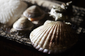 Shellfish grilled