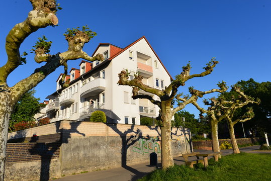 Mainufer Hanau-Gro&szlig;auheim in Hessen 