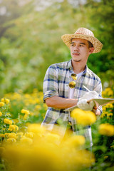 Plant researchers are recording the growth of marigolds in the garden.