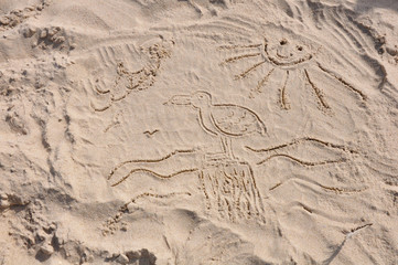 Sketch of a seagull in the sand by jziprian