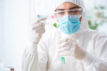 Male biochemist working in the lab on plants