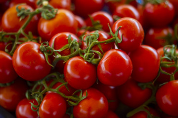 A group of fresh organic tomatoes