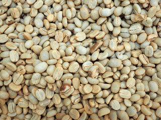 dry coffee seed before delivery to roast in factory