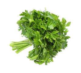 Fresh green parsley on white background, top view