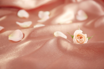 Composition with rose and petals on shiny fabric