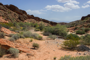 Desert Red Sandstone Hills