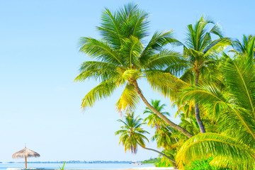 Fototapeta premium Luxury tropical vacation