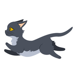 Grey cat running