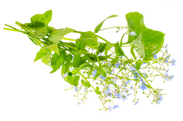 Small bouquet with blue flowers