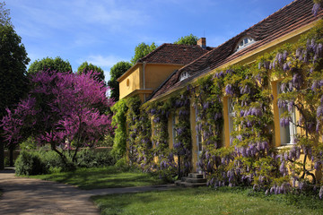 Cozy german house. Potsdam city.
