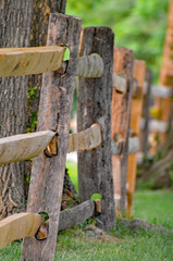 fence line