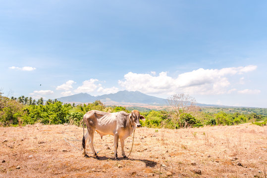 Mount Mariveles at Bataan, Philippines