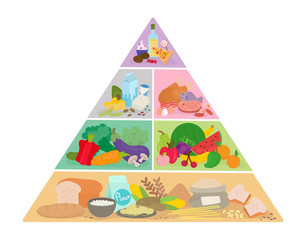 The food pyramid