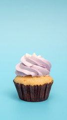 Cupcake on a blue background.