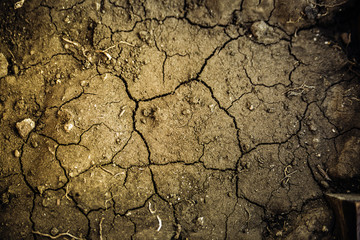 The surface of the dried earth, covered with cracks. Soft selective focus.