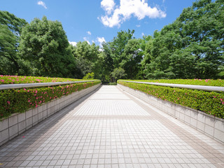 On a pedestrian overpass leading to the Shinjuku Central Park, Tokyo